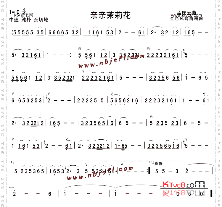 亲亲茉莉花