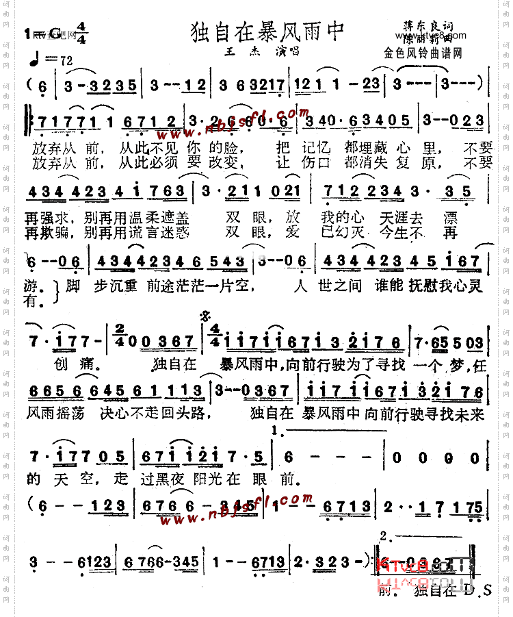 独自在暴风雨中