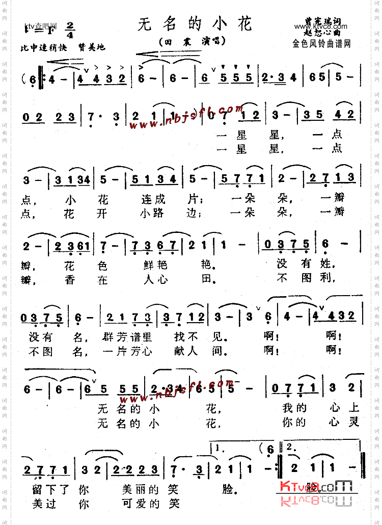 无名的小花