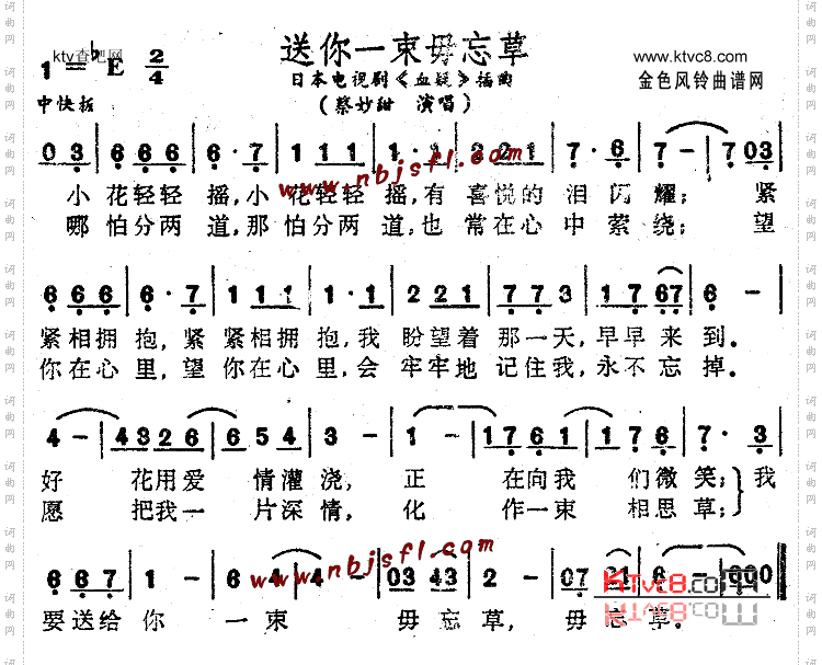 送你一束毋忘草《血凝》插曲