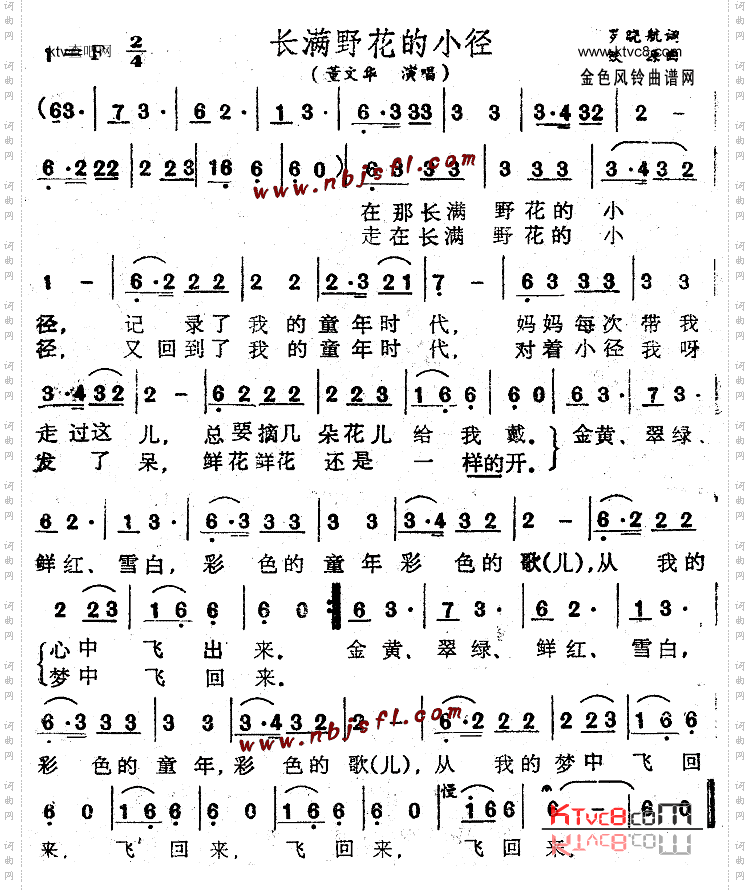 长满野花的小径
