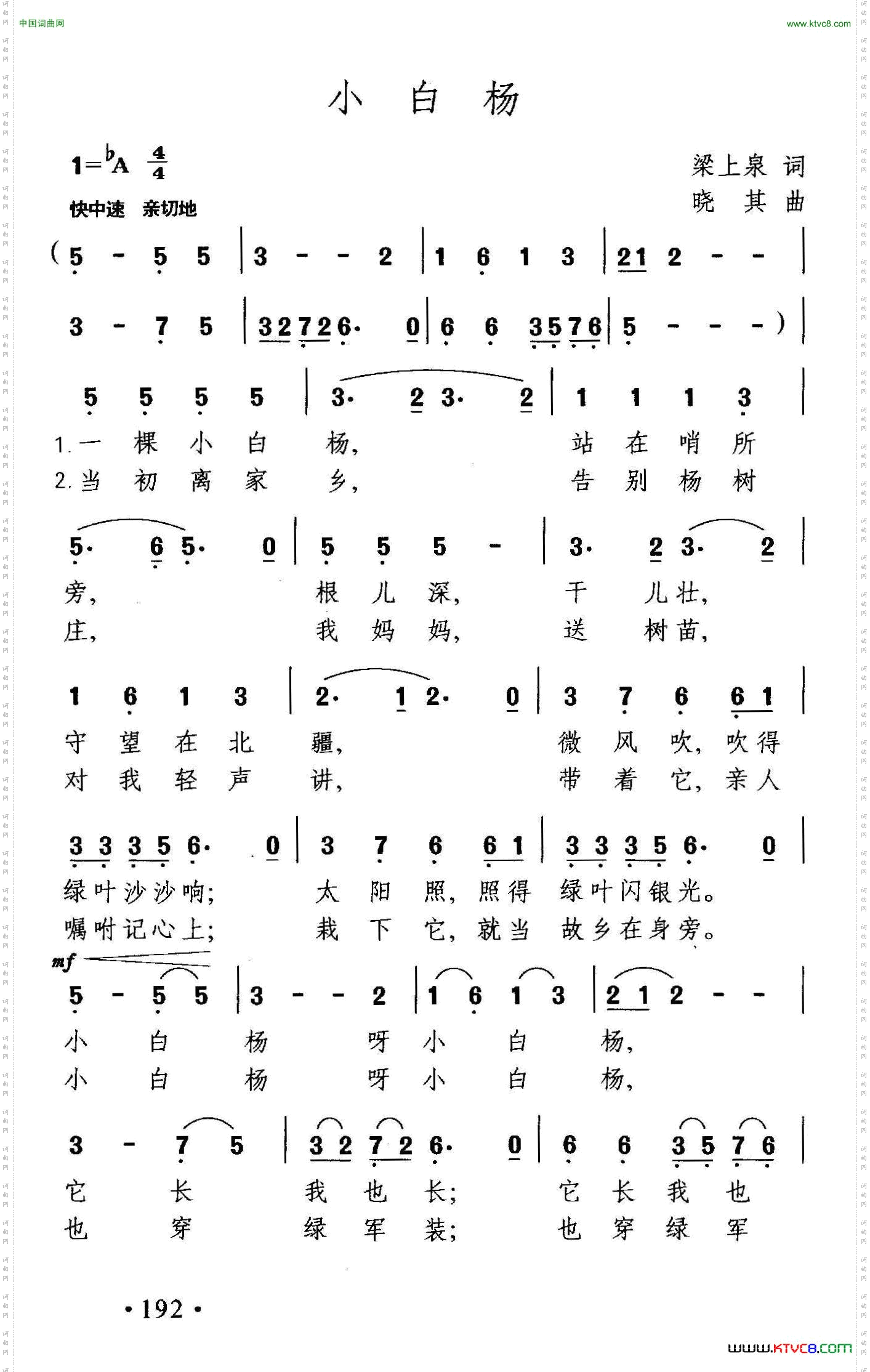 小白杨