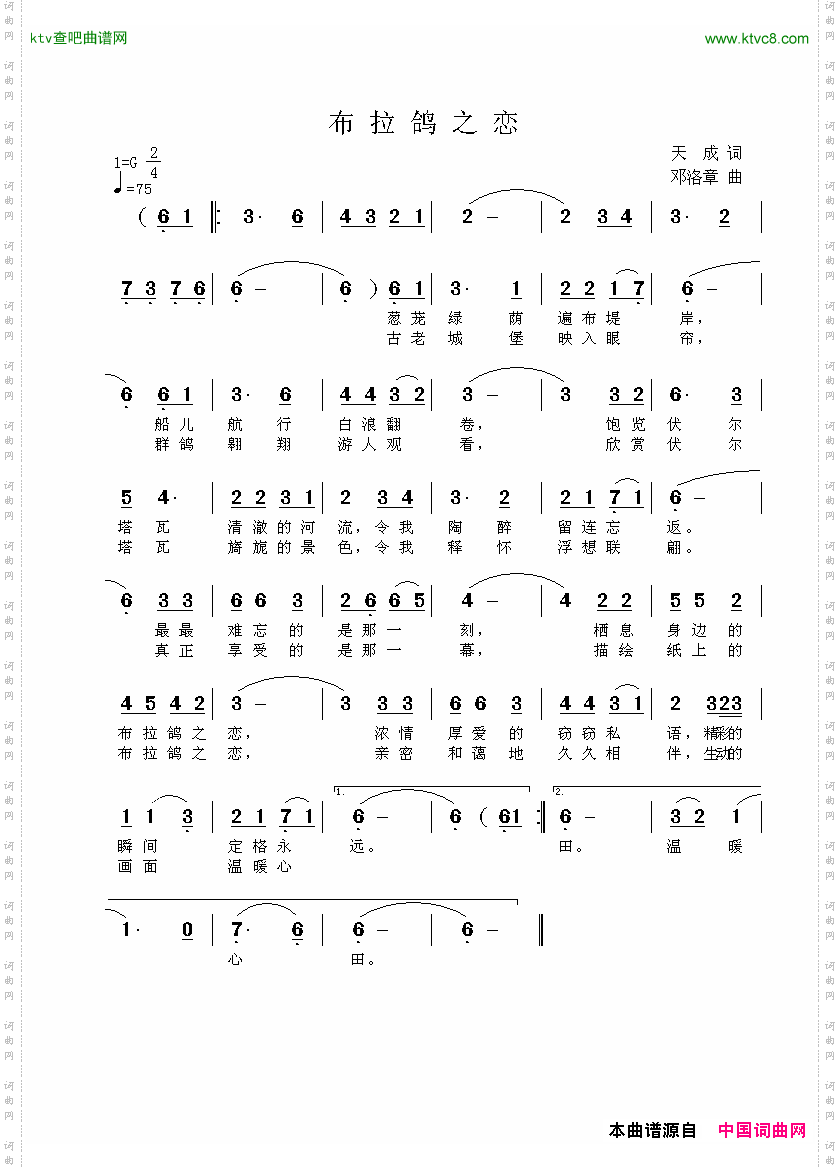 布拉鸽之恋