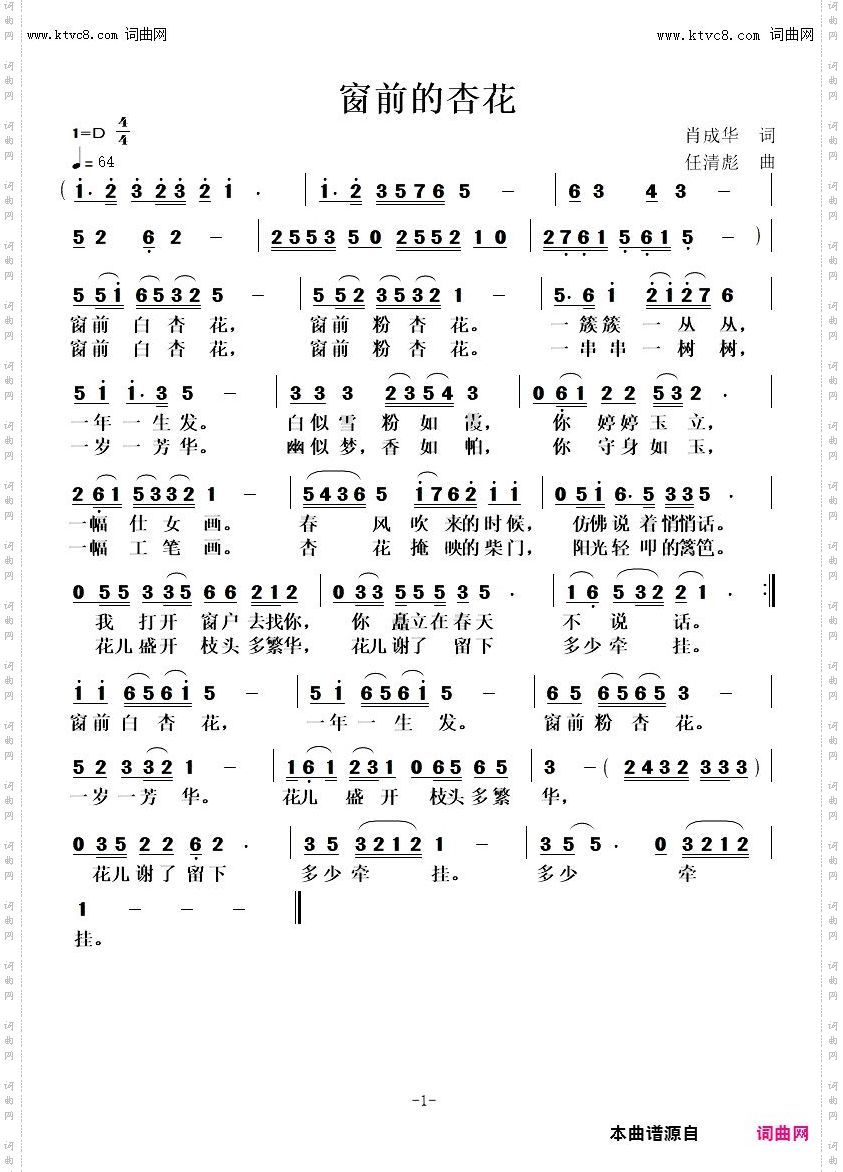 窗前的杏花
