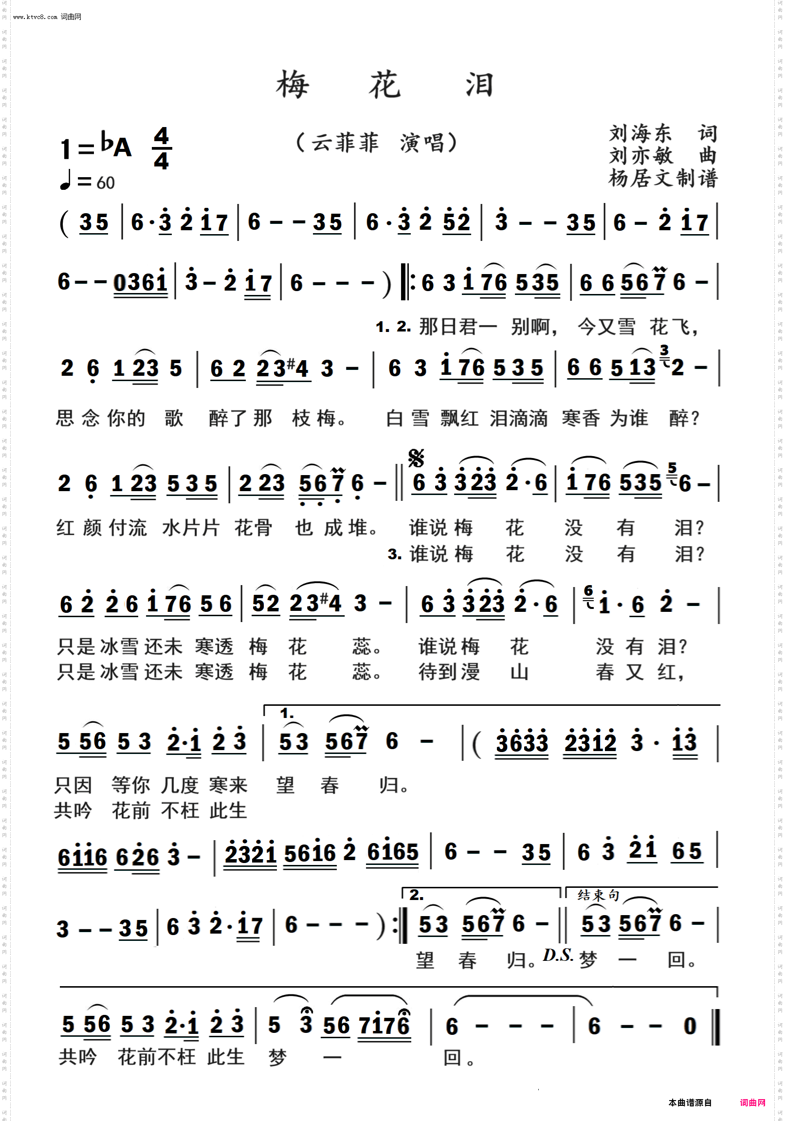 梅花泪_云菲菲演唱 降A调