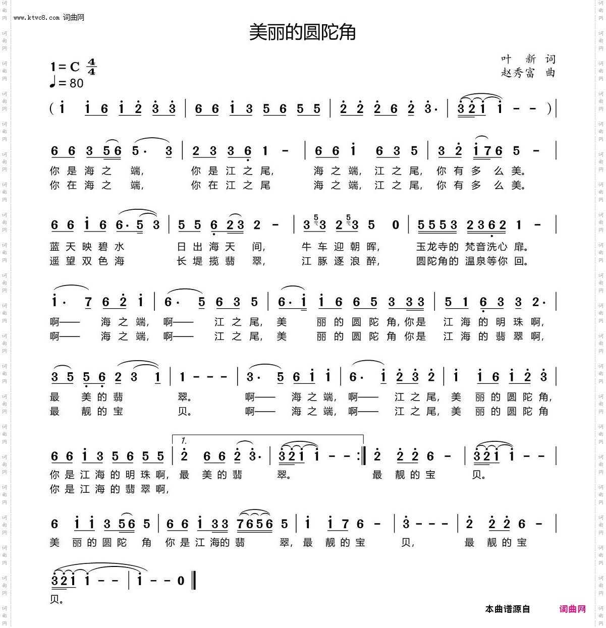 美丽的圆陀角