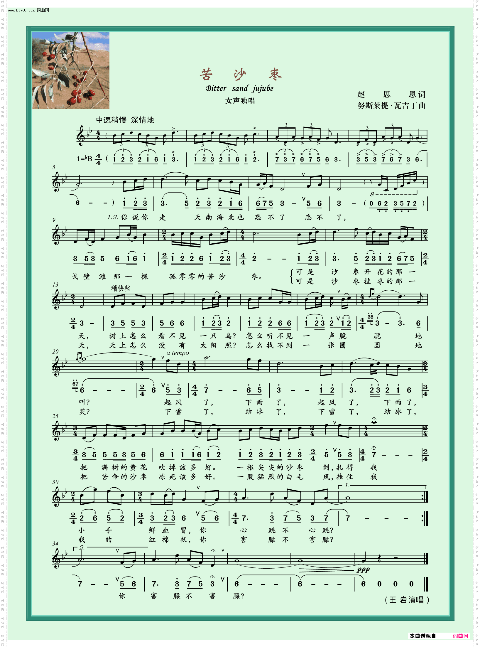 苦沙枣_女声独唱