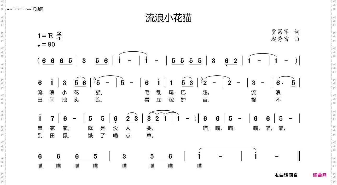 流浪小花猫