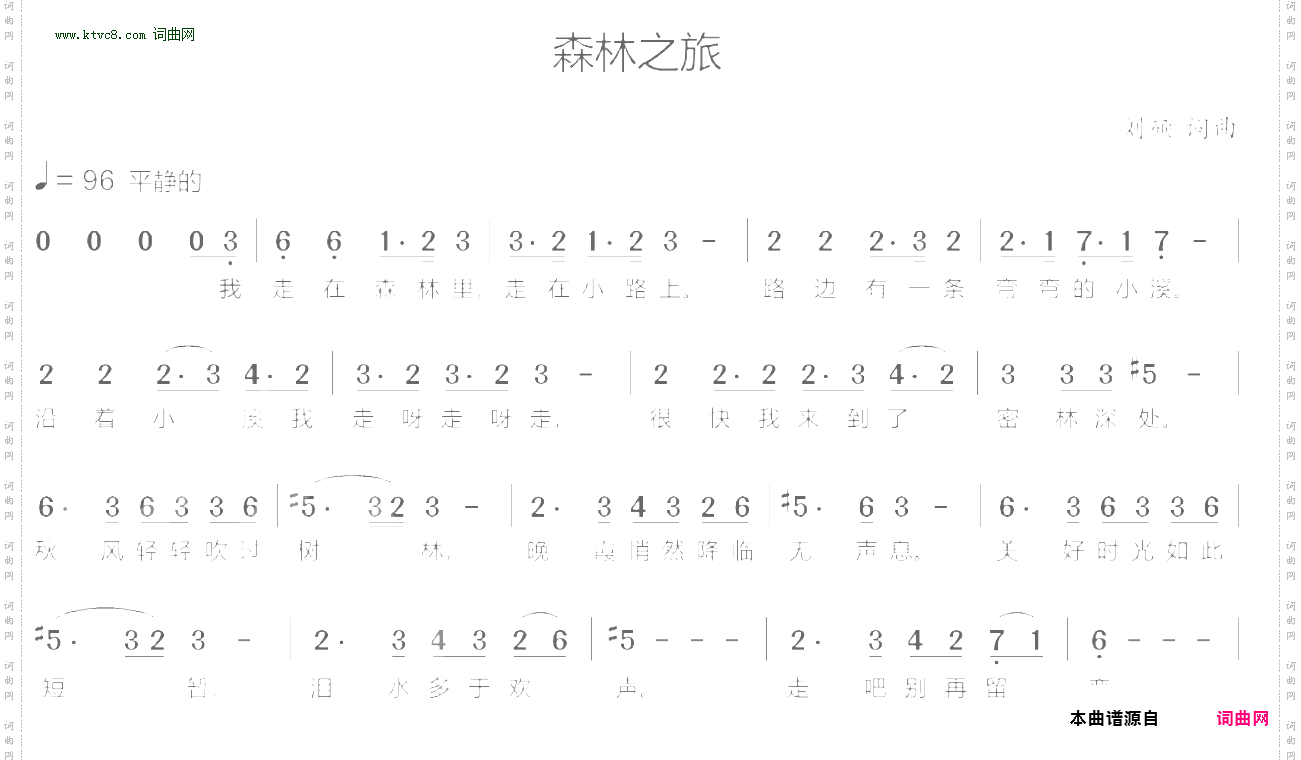 森林之旅