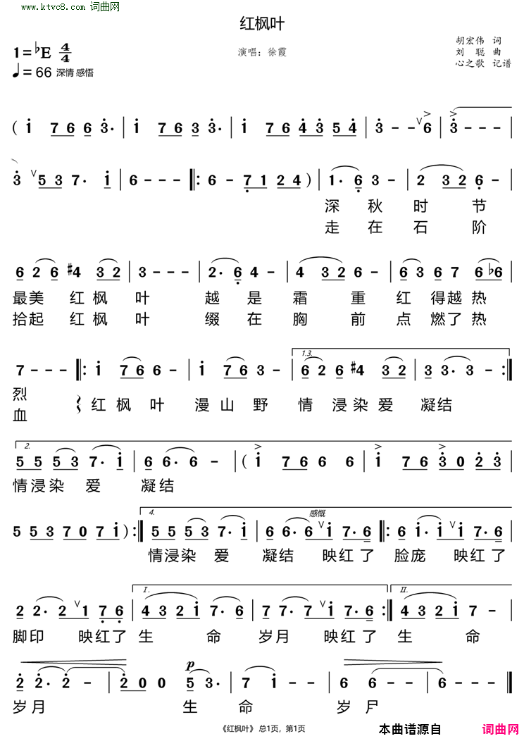红枫叶