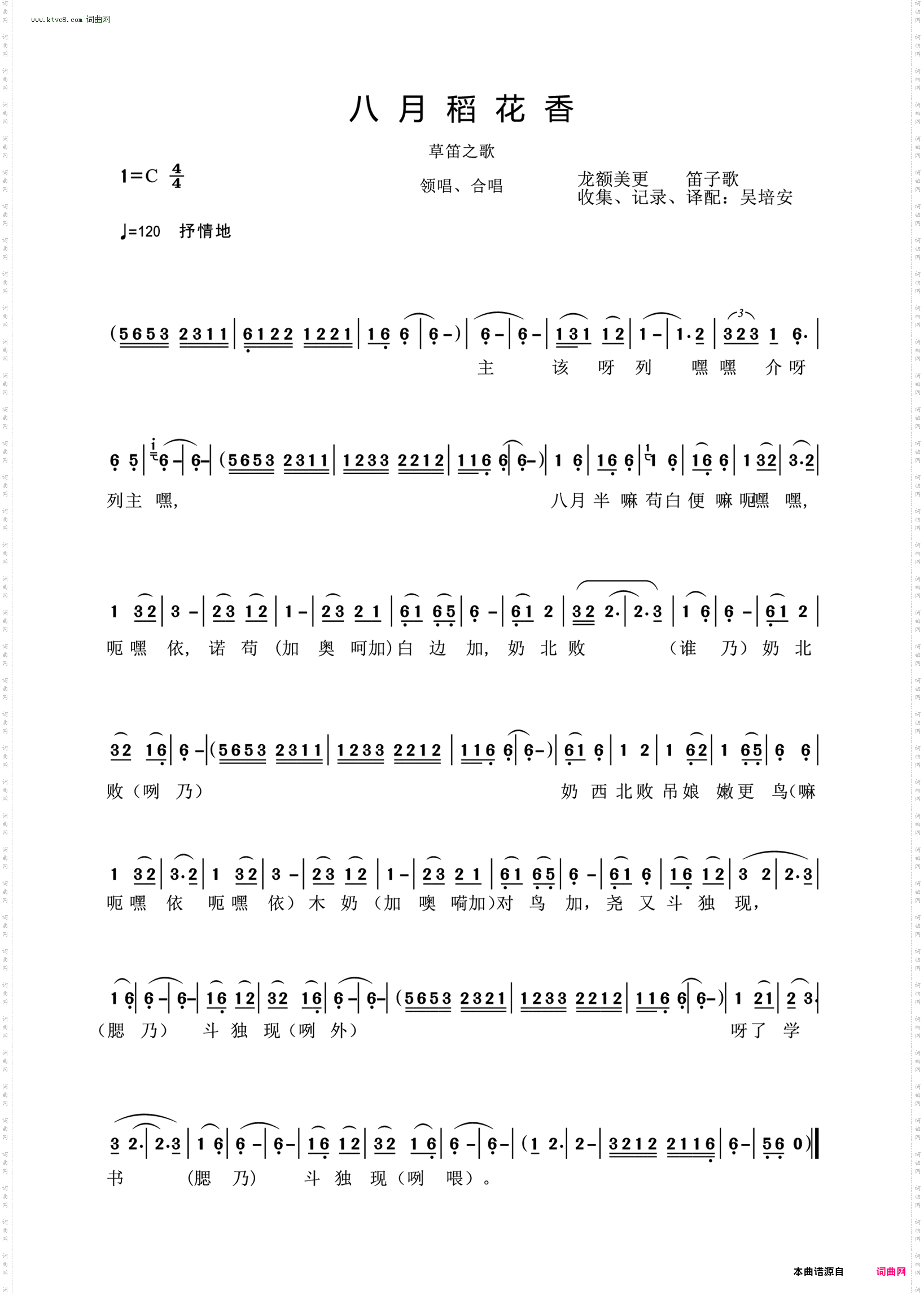 八月稻花香_草笛之歌