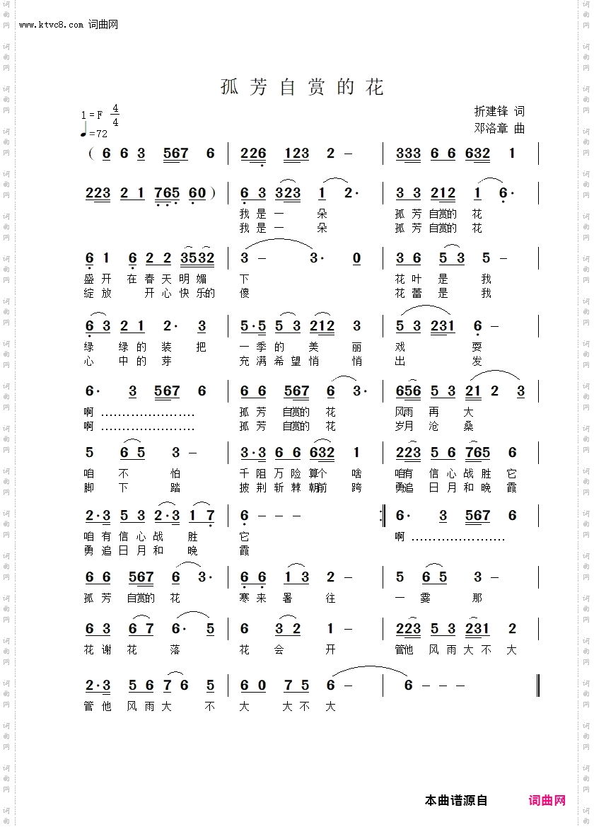 孤芳自赏的花