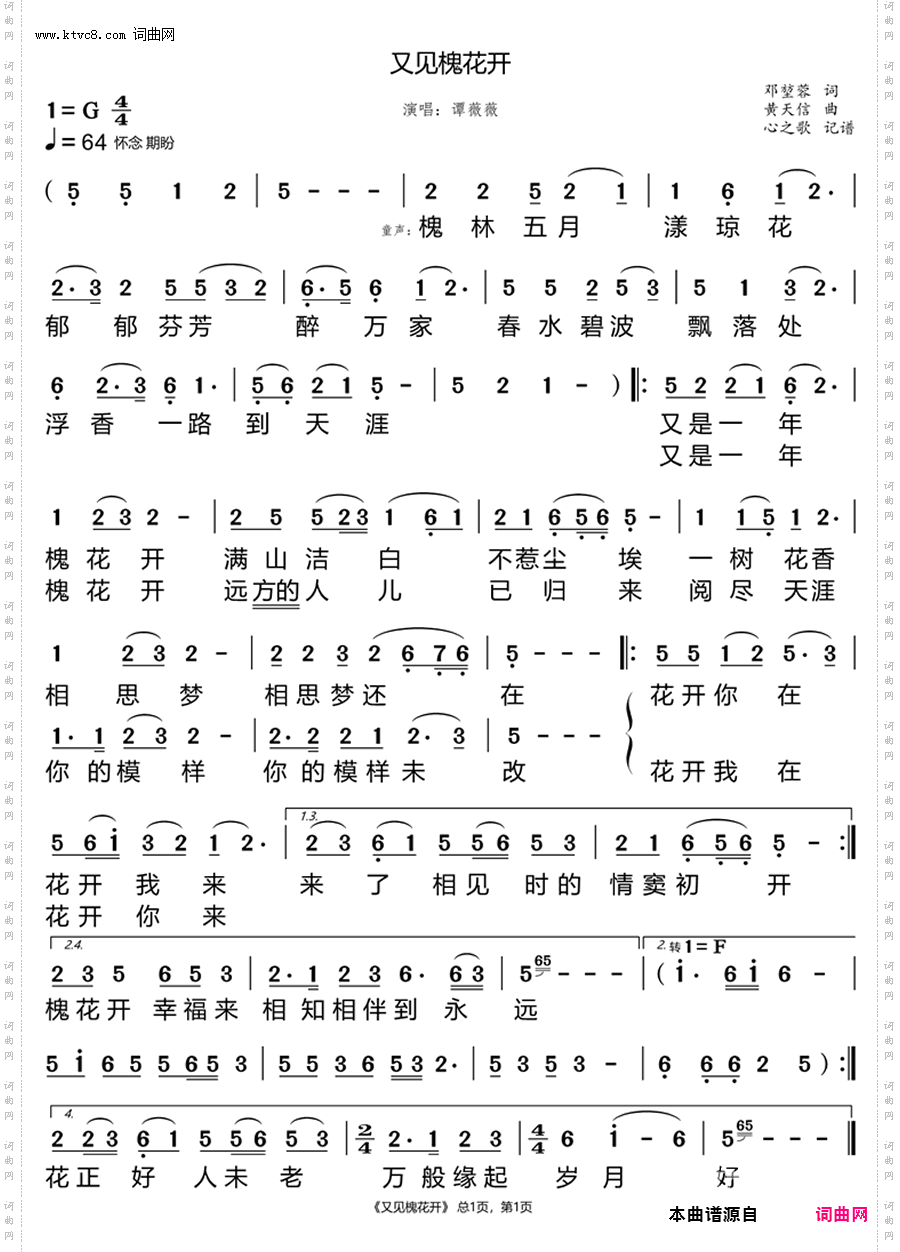 又见槐花开