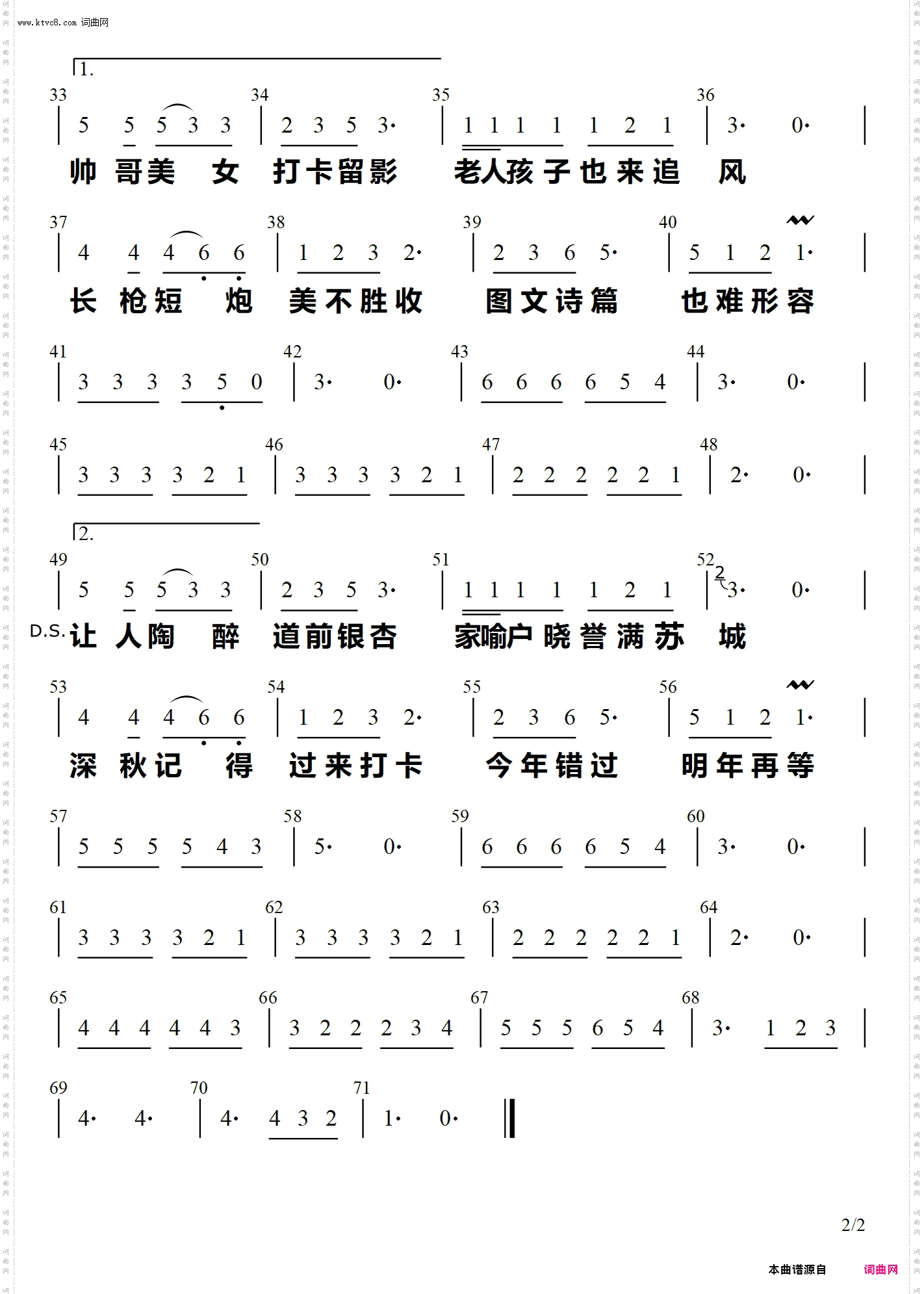 道前银杏