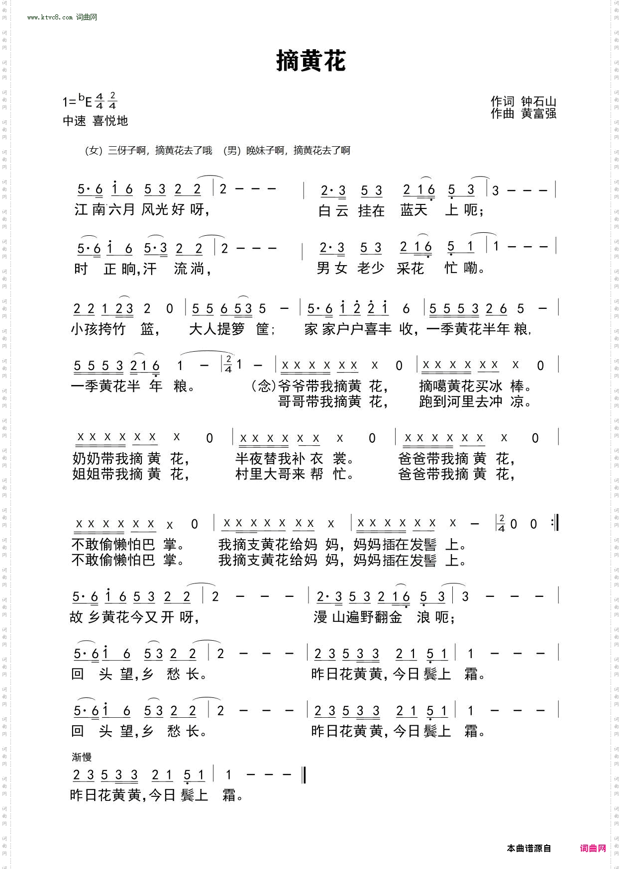 摘黄花