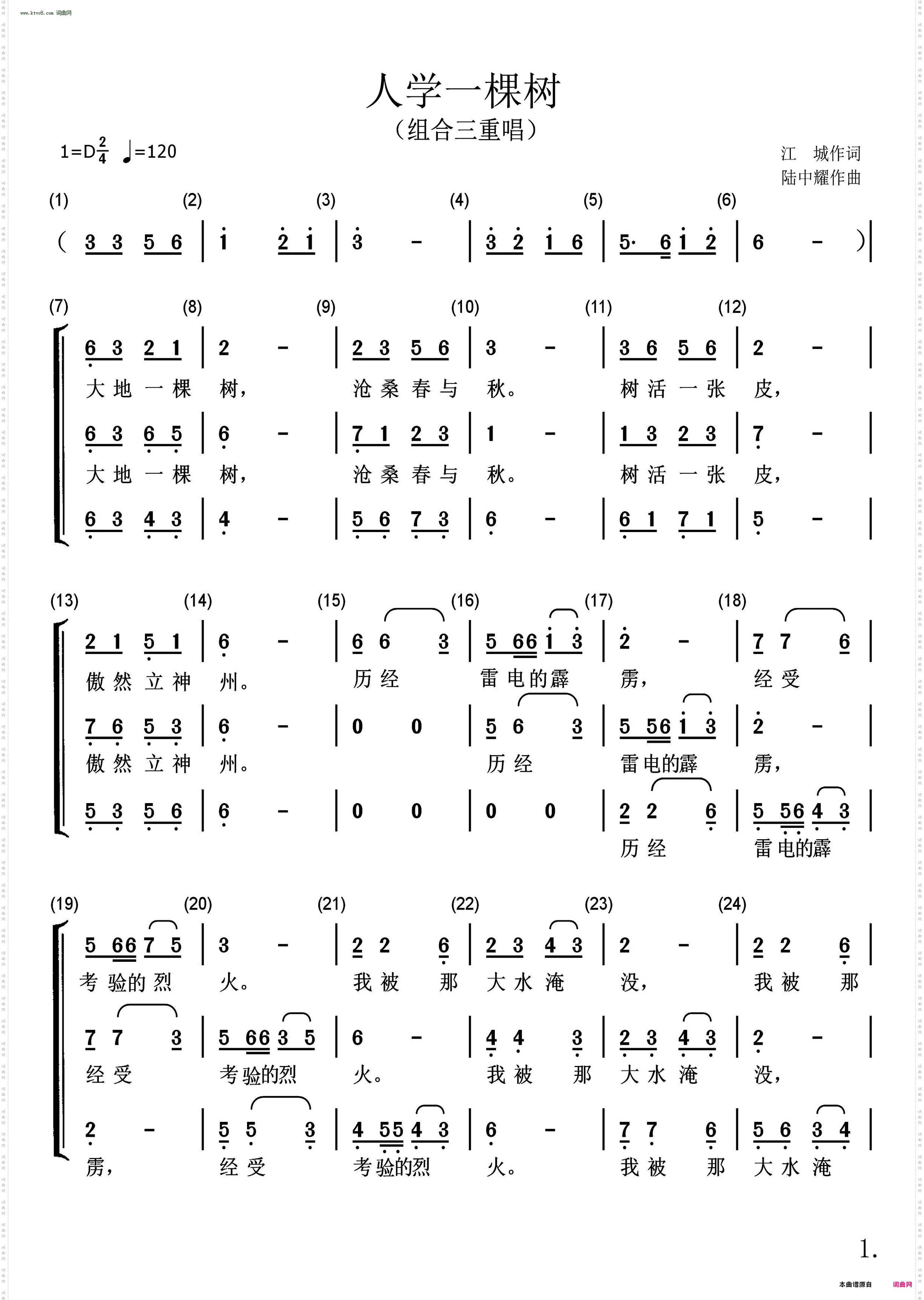 人学一棵树