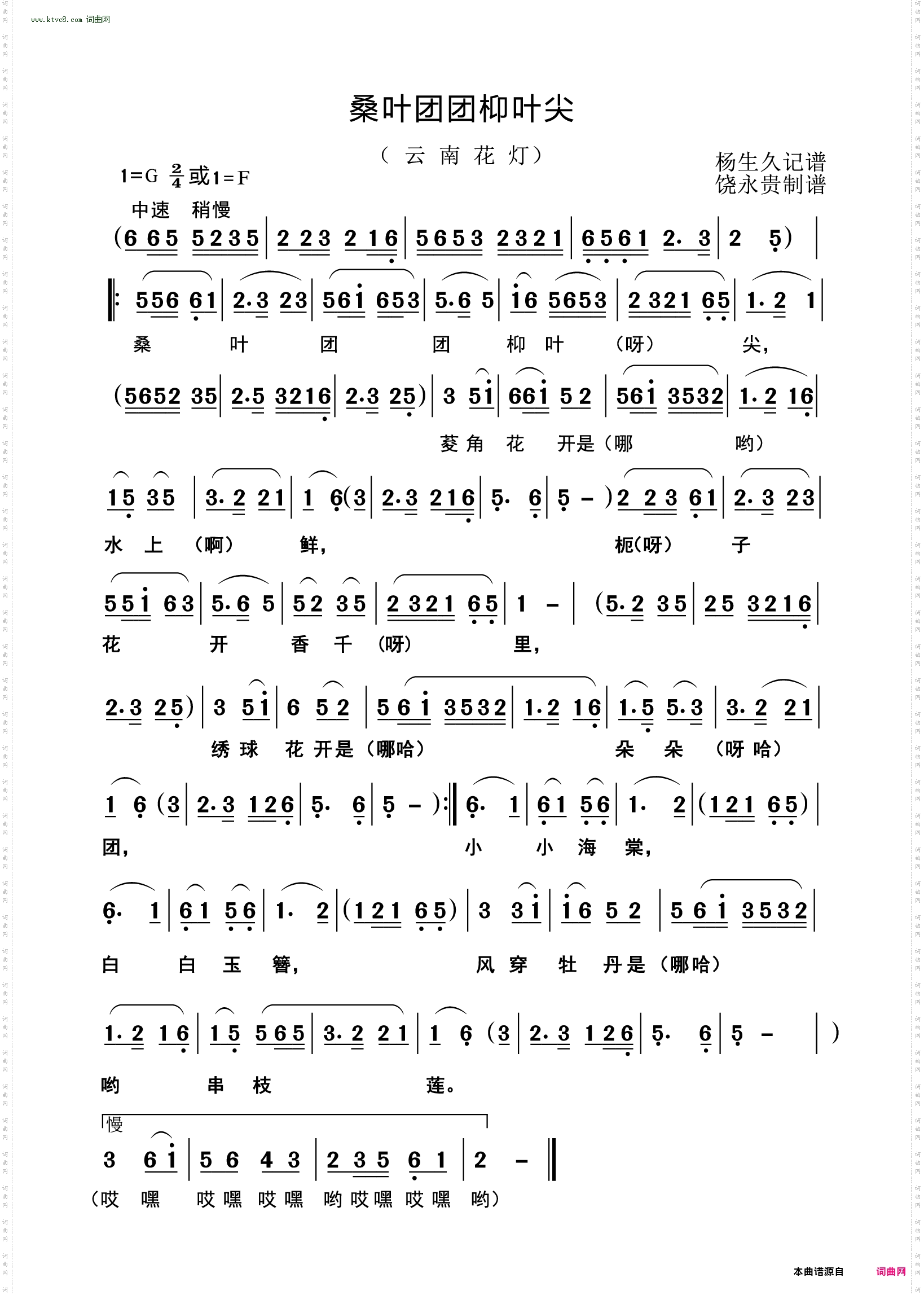桑叶团团枊叶尖_云南花灯