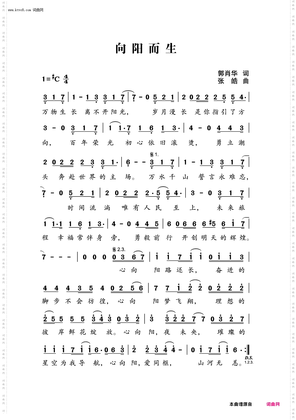 向阳而生