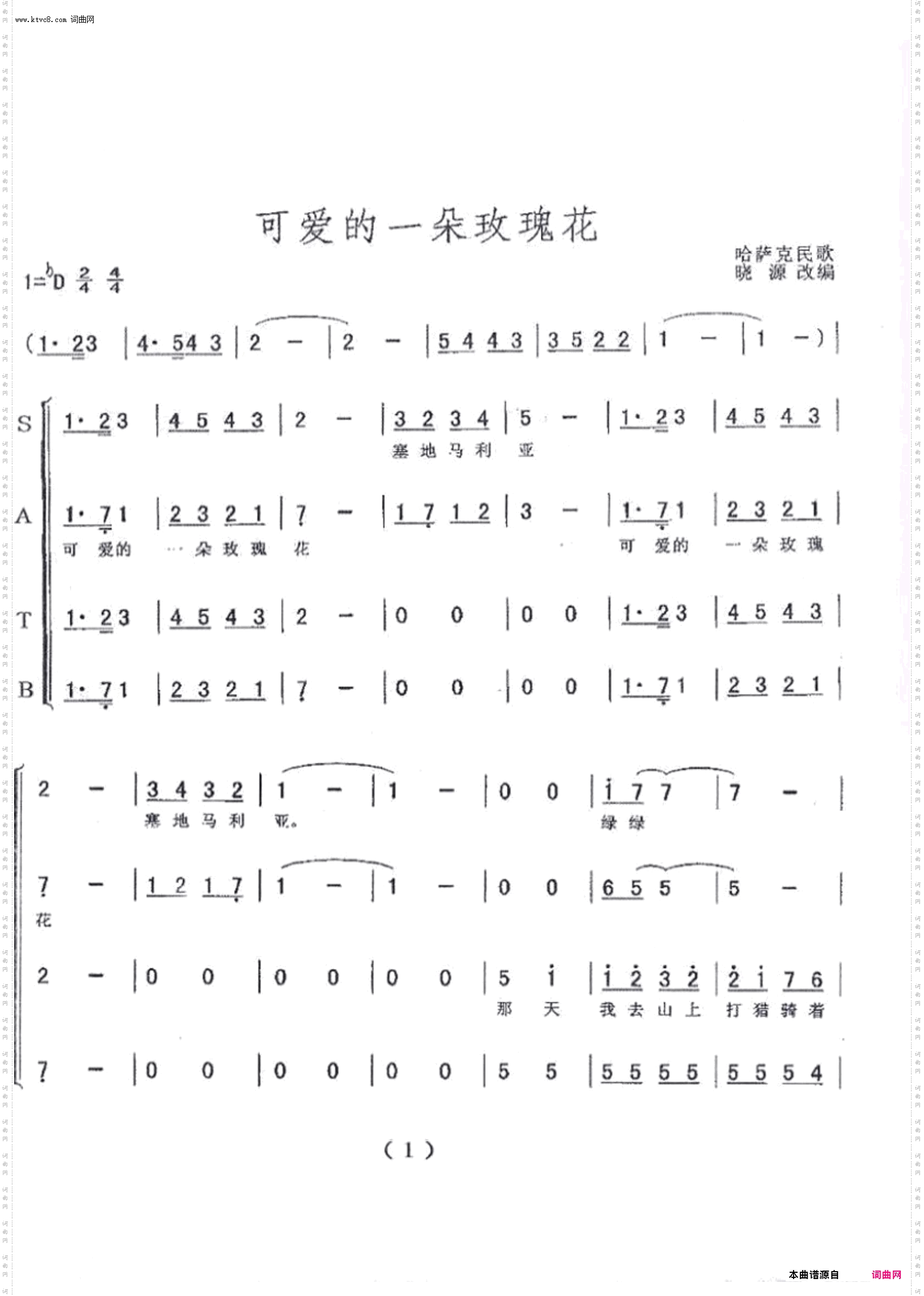 可爱的一朵玫瑰花