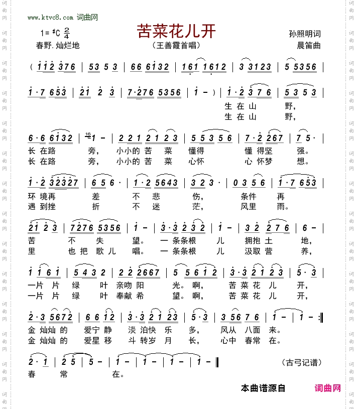 苦菜花儿开