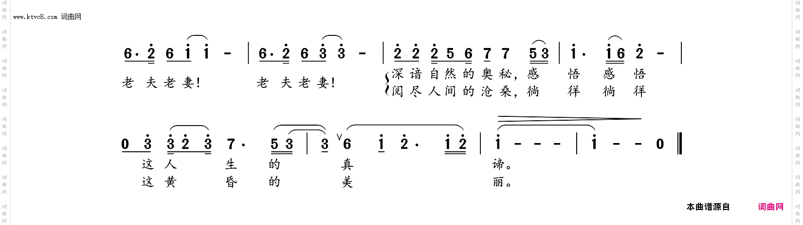 一对耄耋老夫妻