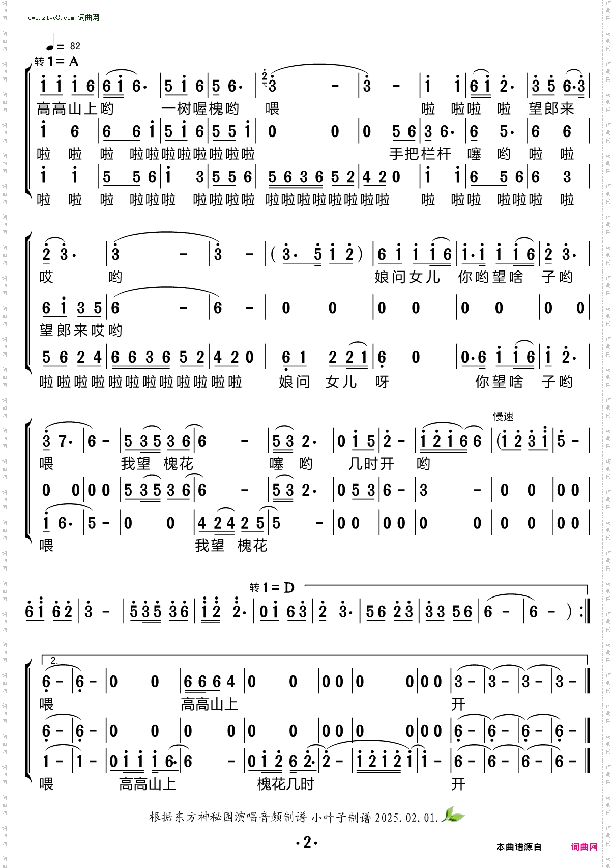 槐花几时开