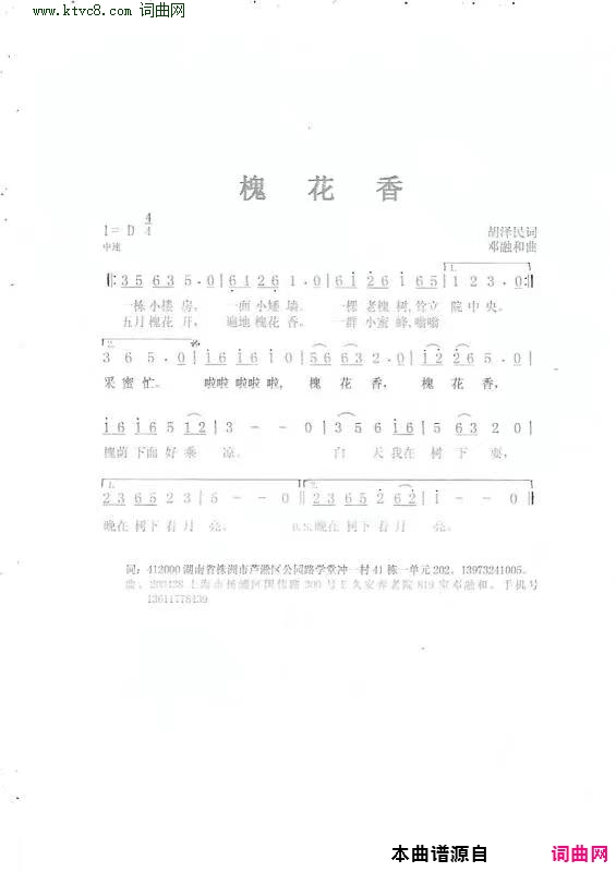 槐花香