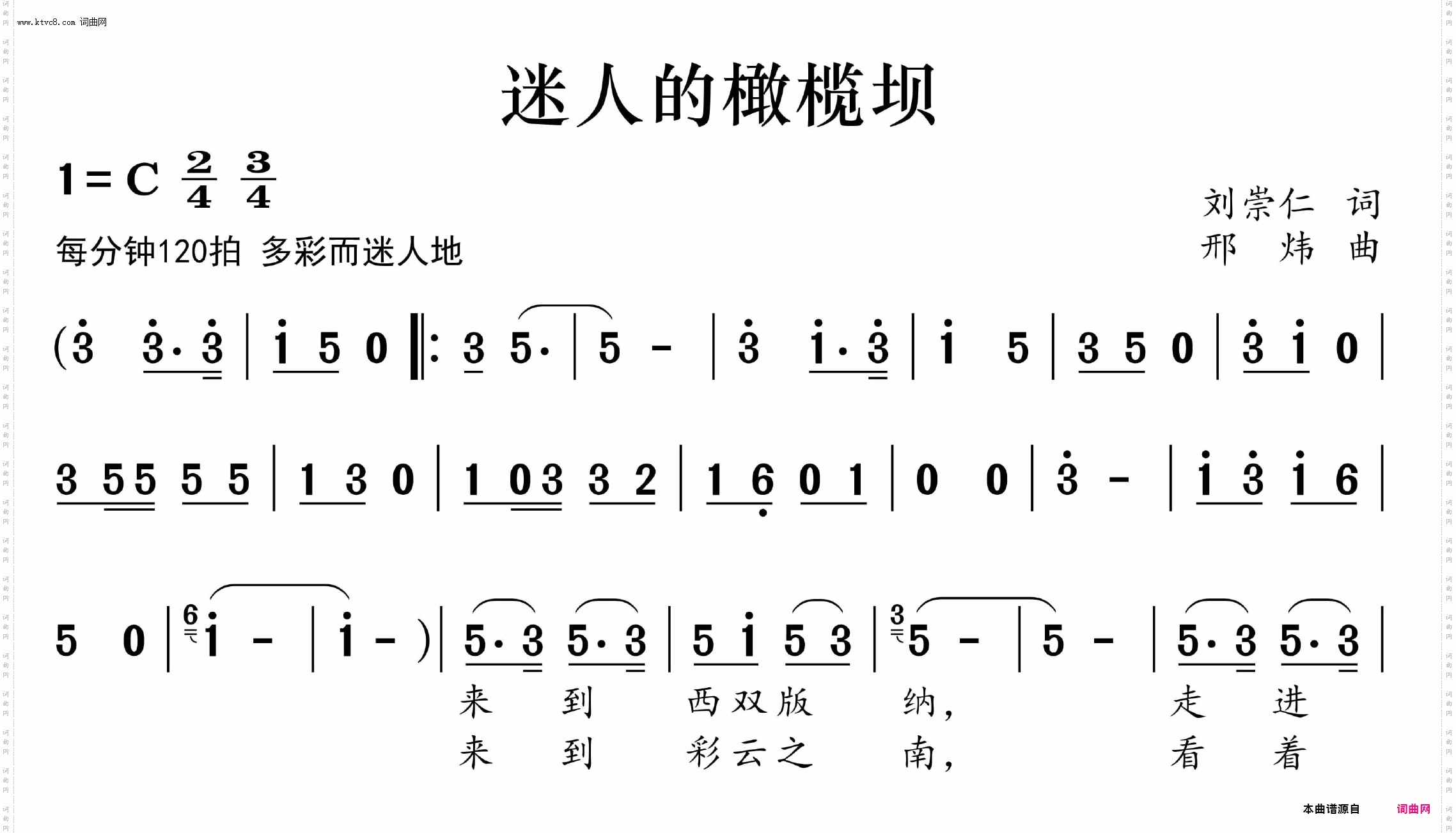 迷人的橄榄坝