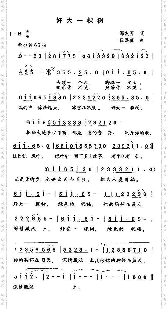 好大一棵树