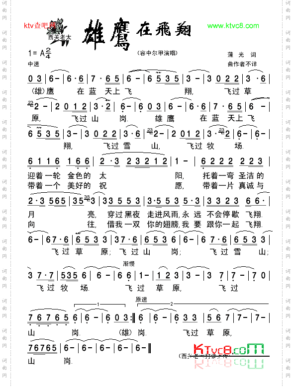 雄鹰在飞翔