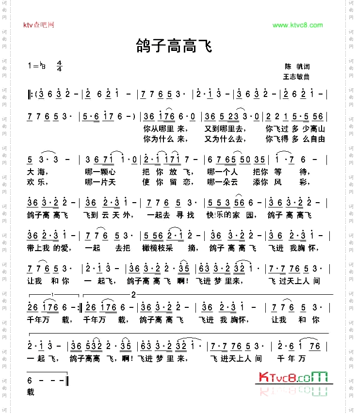 鸽子高高飞