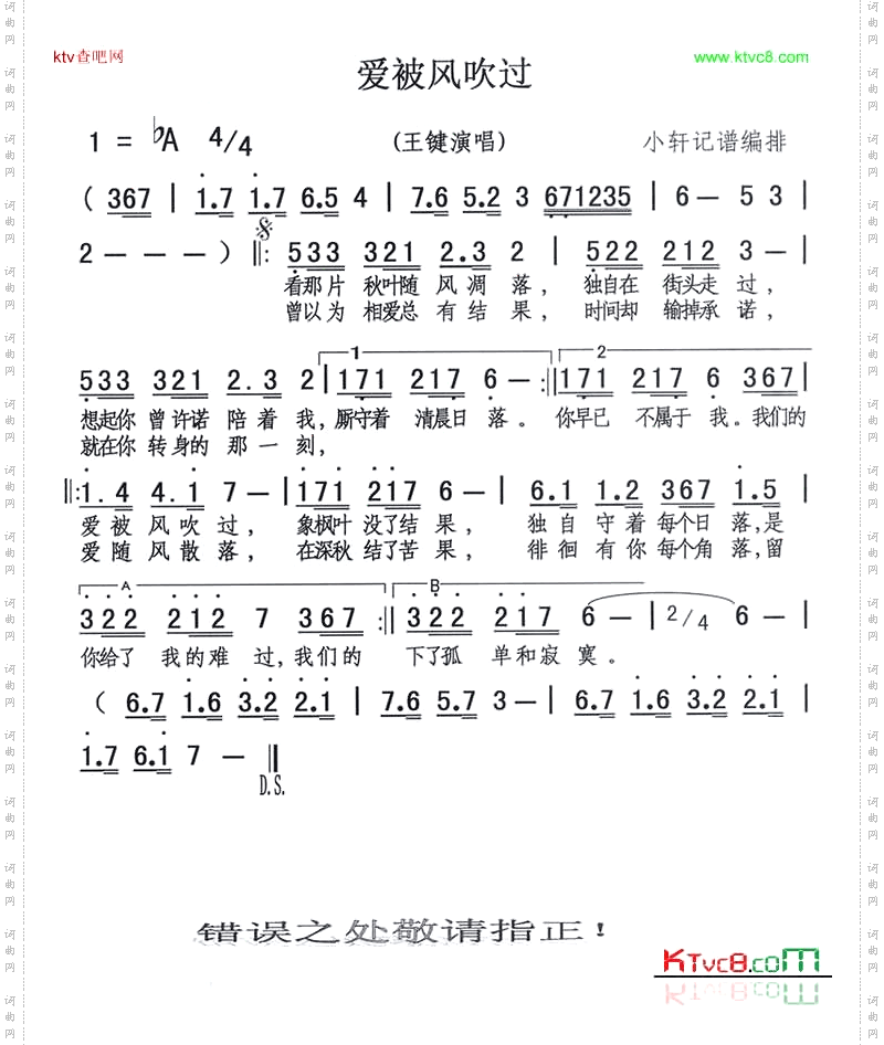 爱被风吹过