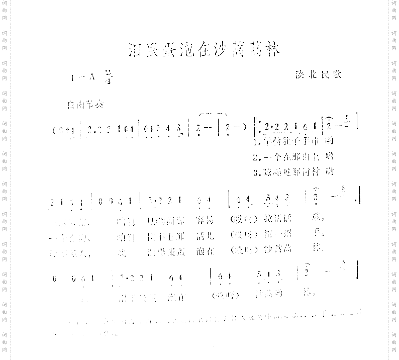 泪蛋蛋泡在沙蒿蒿林