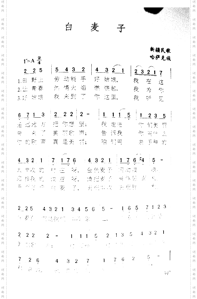 白麦子