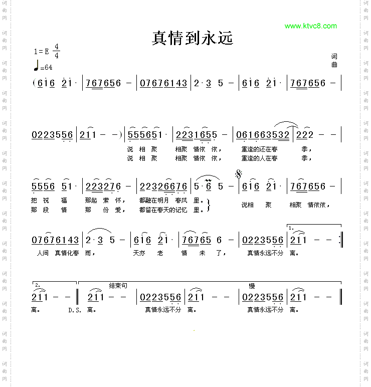 真情到永远