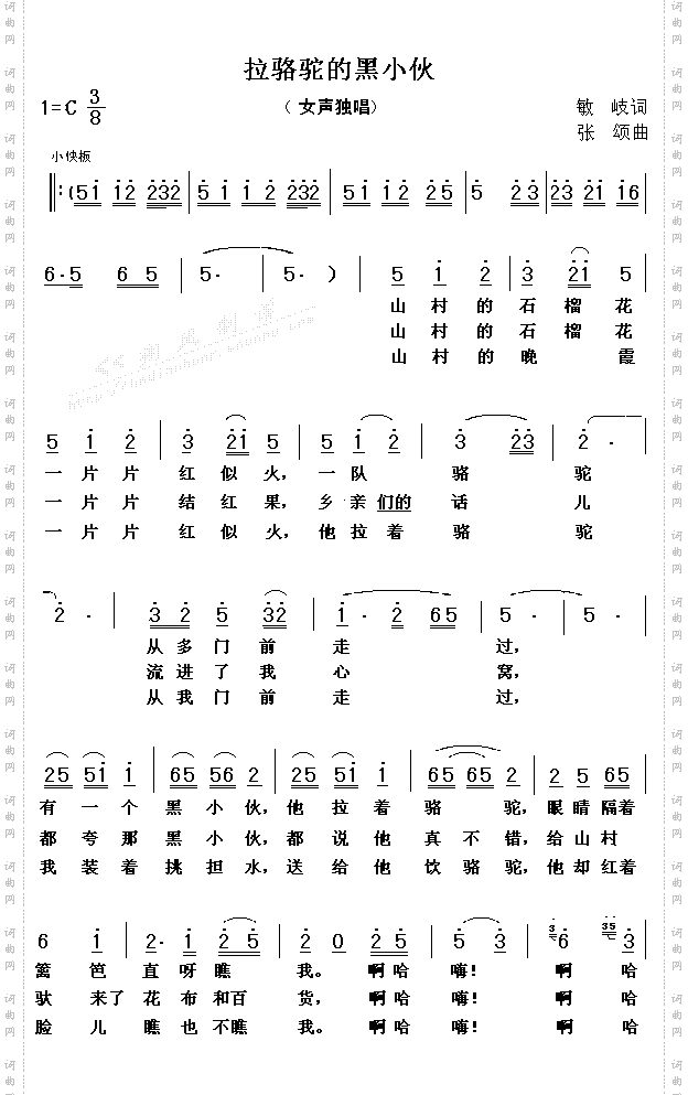 拉骆驼的黑小伙