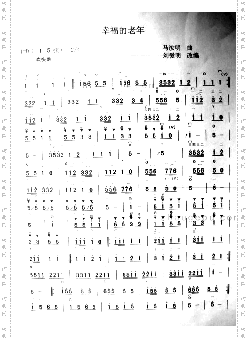 幸福的老年