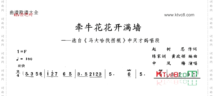 牵牛花花开满墙