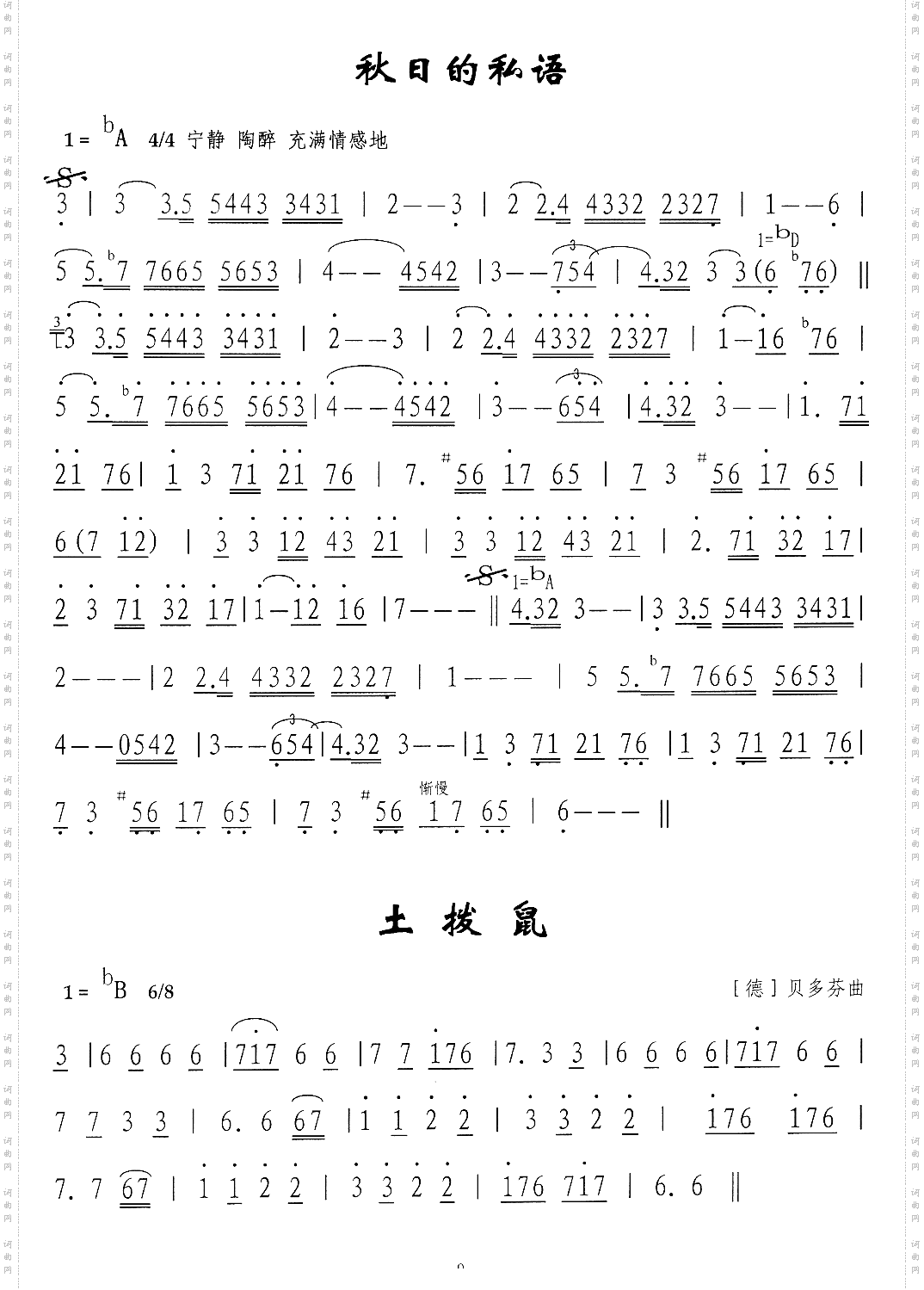 秋日的私语