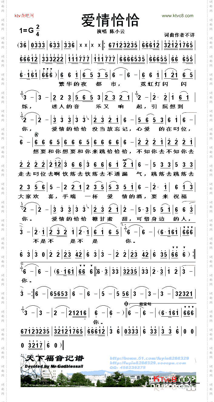 爱情洽洽