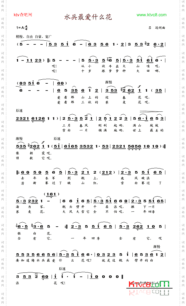 水兵最爱什么花