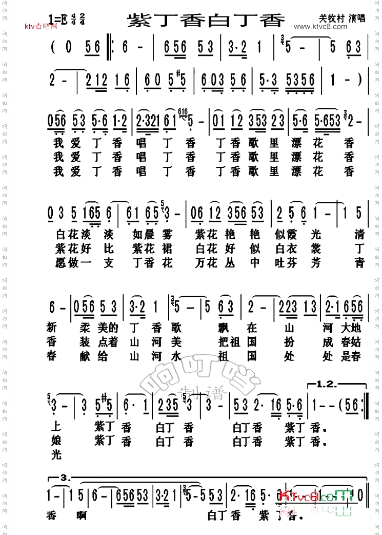 紫丁香白丁香