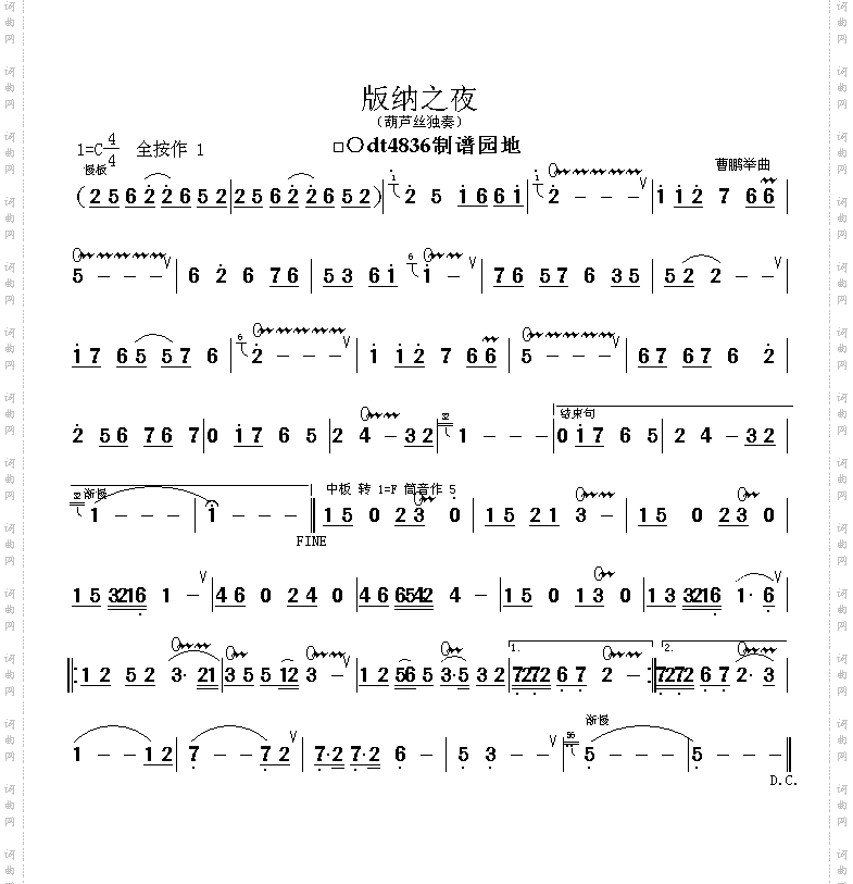版纳之夜