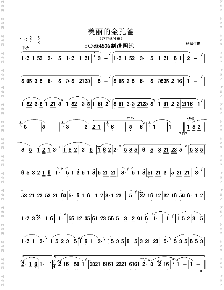 美丽的金孔雀