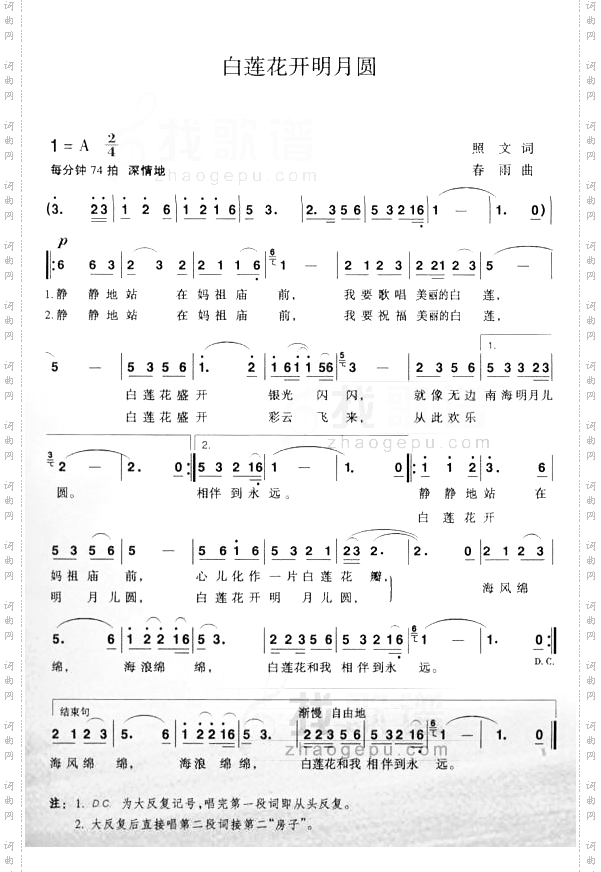 白莲花开明月圆