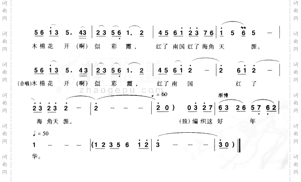 木棉恋