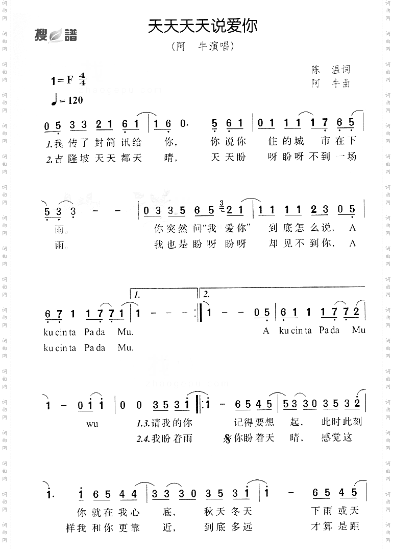 天天说爱你