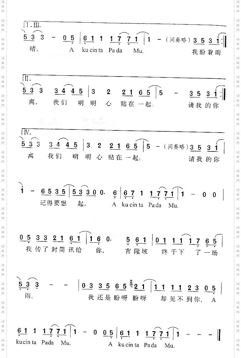 天天说爱你