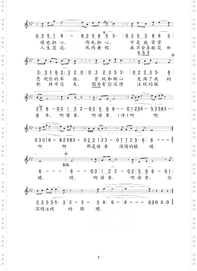 母亲的眼泪