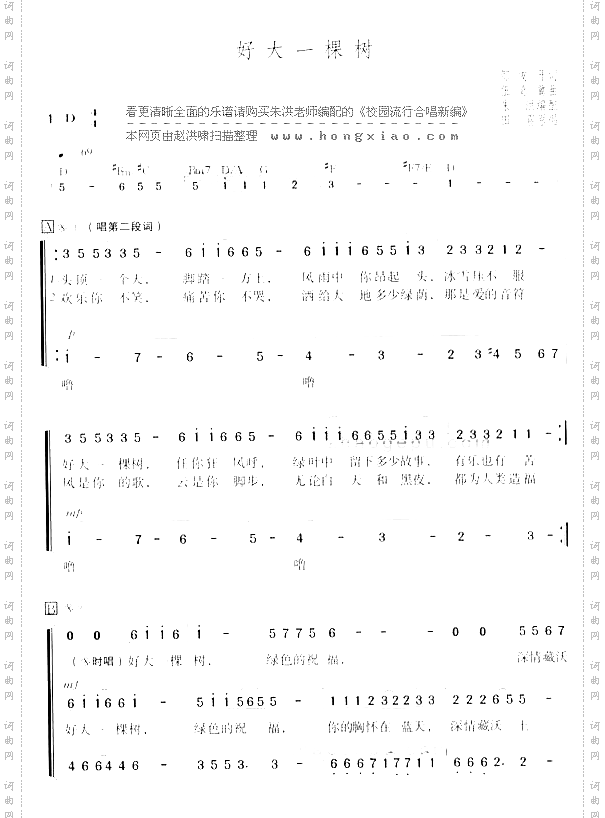 好大一棵树